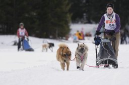 Lenzerheide 2013